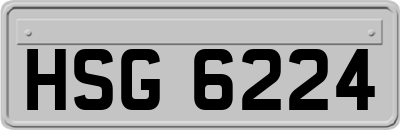 HSG6224