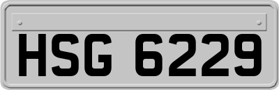 HSG6229