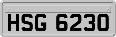 HSG6230