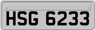 HSG6233