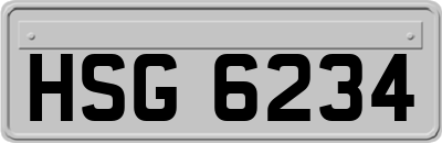 HSG6234