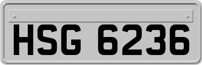 HSG6236