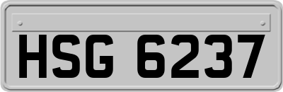 HSG6237