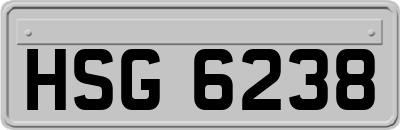 HSG6238