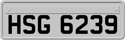 HSG6239
