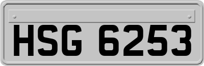 HSG6253