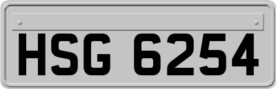 HSG6254