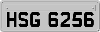 HSG6256
