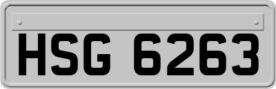 HSG6263