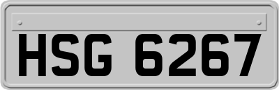 HSG6267