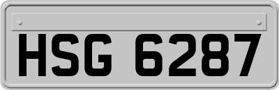 HSG6287