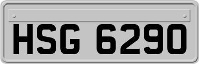 HSG6290