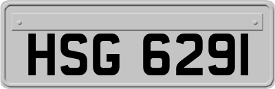 HSG6291