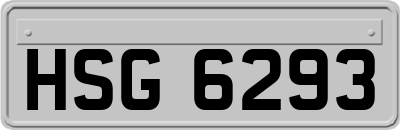 HSG6293