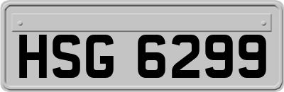 HSG6299