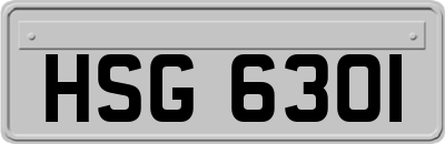 HSG6301