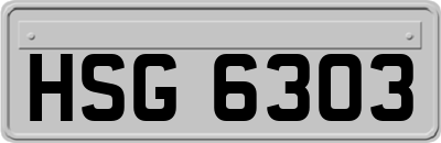 HSG6303