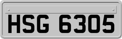 HSG6305
