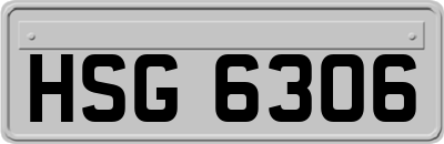HSG6306
