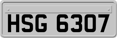 HSG6307