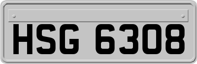 HSG6308