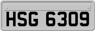 HSG6309