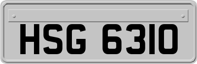 HSG6310