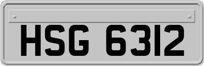 HSG6312