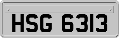 HSG6313