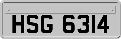 HSG6314