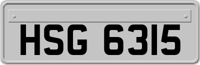 HSG6315