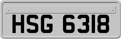 HSG6318