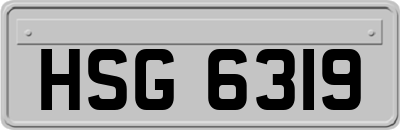 HSG6319