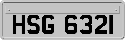 HSG6321