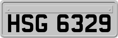 HSG6329