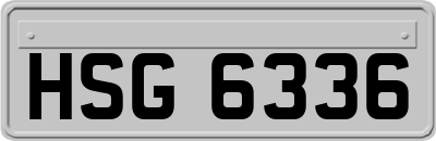 HSG6336