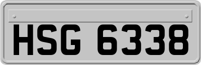 HSG6338