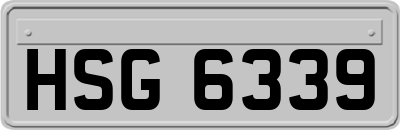 HSG6339