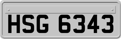 HSG6343