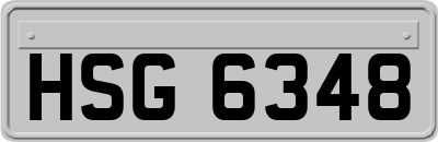 HSG6348