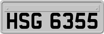 HSG6355