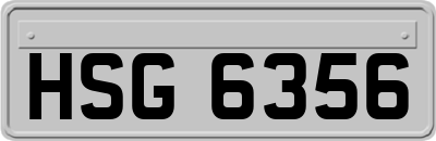 HSG6356