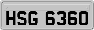 HSG6360