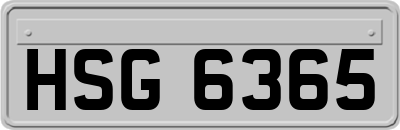 HSG6365