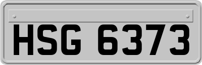 HSG6373