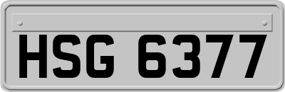 HSG6377