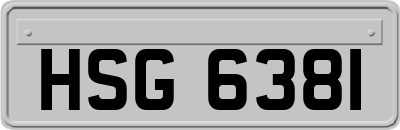 HSG6381