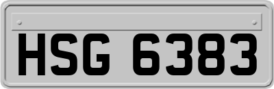 HSG6383