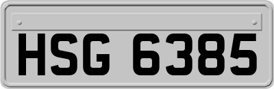 HSG6385