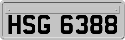 HSG6388